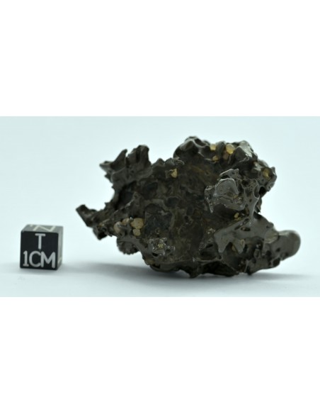 Golden Pallasite 96 g – Compact Natural Individual