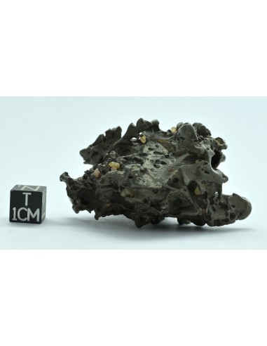 Golden Pallasite 96 g – Compact Natural Individual