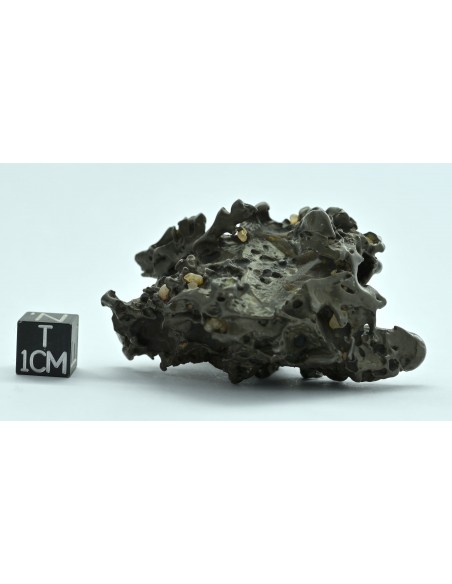 Golden Pallasite 96 g – Compact Natural Individual