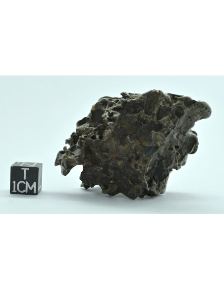 Golden Pallasite 96 g – Compact Natural Individual