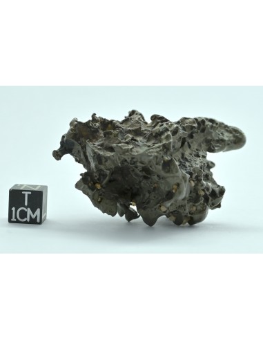 Golden Pallasite 96 g – Compact Natural Individual