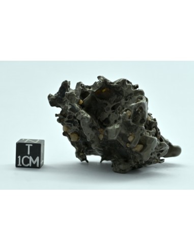 Golden Pallasite 96 g – Compact Natural Individual