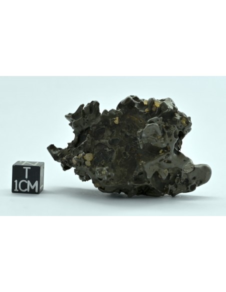 Golden Pallasite 96 g – Compact Natural Individual