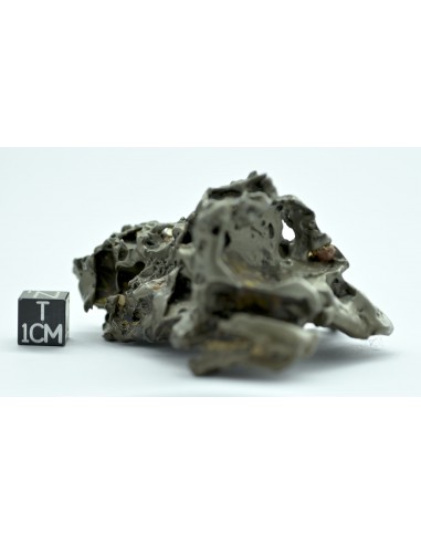 Golden Pallasite 147.50 g – Sculptural Openwork Meteorite with Spikes