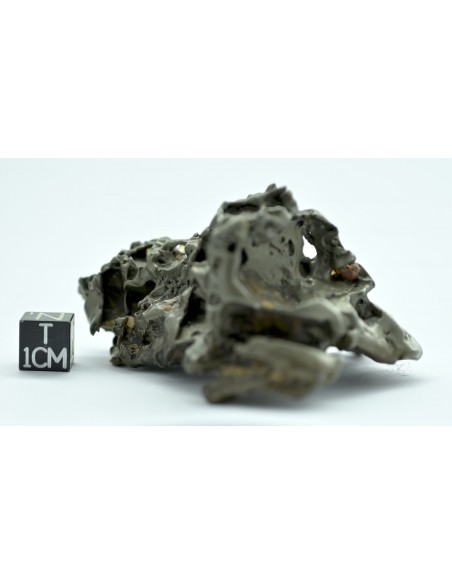 Golden Pallasite 147.50 g – Sculptural Openwork Meteorite with Spikes