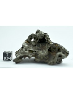 Golden Pallasite 147.50 g – Sculptural Openwork Meteorite with Spikes 2