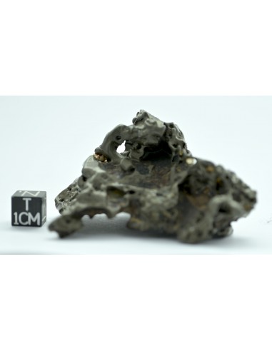 Golden Pallasite 147.50 g – Sculptural Openwork Meteorite with Spikes