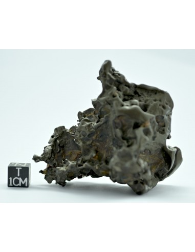 Golden Pallasite 147.50 g – Sculptural Openwork Meteorite with Spikes