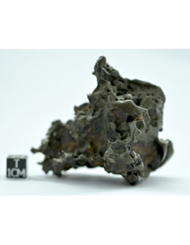 Golden Pallasite 147.50 g – Sculptural Openwork Meteorite with Spikes