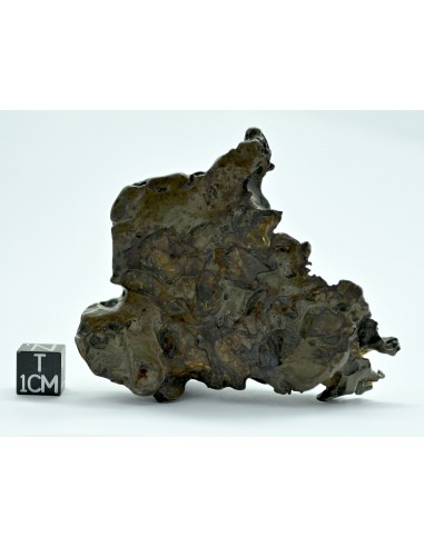 Golden Pallasite 147.50 g – Sculptural Openwork Meteorite with Spikes
