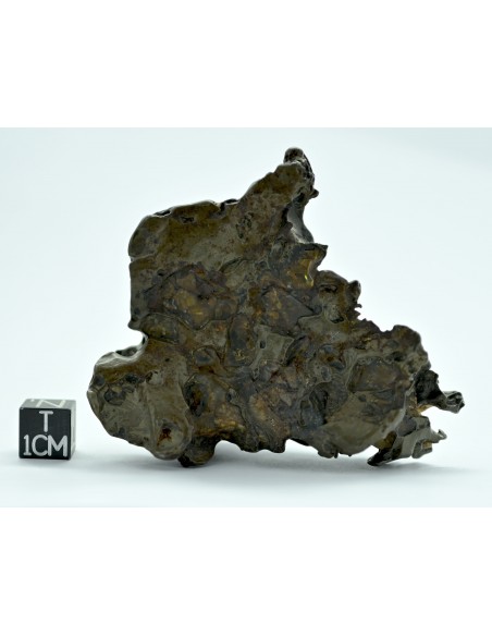 Golden Pallasite 147.50 g – Sculptural Openwork Meteorite with Spikes