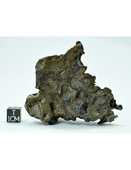 Golden Pallasite 147.50 g – Sculptural Openwork Meteorite with Spikes