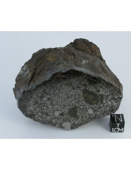 Vaca Muerta Meteorite / 494.6g