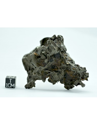 Golden Pallasite 147.50 g – Sculptural Openwork Meteorite with Spikes