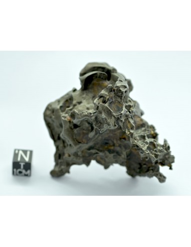 Golden Pallasite 147.50 g – Sculptural Openwork Meteorite with Spikes