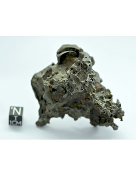 Golden Pallasite 147.50 g – Sculptural Openwork Meteorite with Spikes