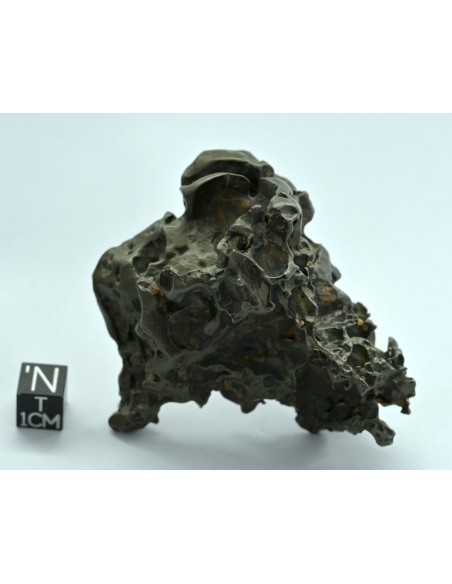 Golden Pallasite 147.50 g – Sculptural Openwork Meteorite with Spikes