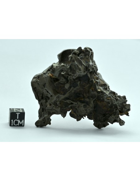 Golden Pallasite 147.50 g – Sculptural Openwork Meteorite with Spikes