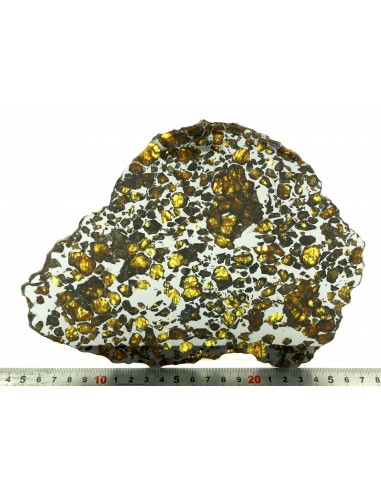 Imilac Pallasite Slice 396 g – Large Transparent Olivine Meteorite | m