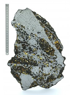 Seymchan Pallasite Slice 961 g – Widmanstätten Pattern & Olivine Meteo