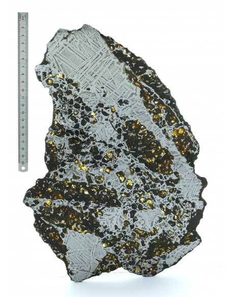 Seymchan Pallasite Slice 961 g – Widmanstätten Pattern & Olivine Meteo