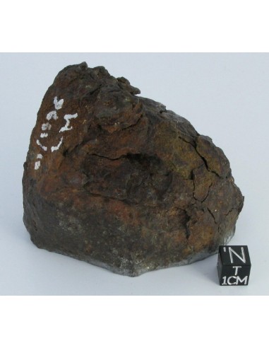Vaca Muerta Meteorite / 494.6g
