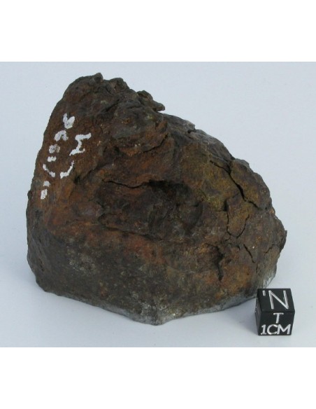 Vaca Muerta Meteorite / 494.6g