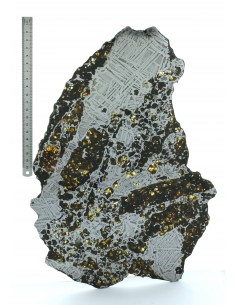 Seymchan Pallasite Slice 961 g – Widmanstätten Pattern & Olivine Meteo 2