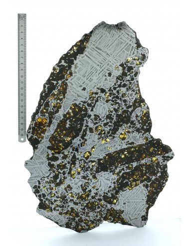 Seymchan Pallasite Slice 961 g – Widmanstätten Pattern & Olivine Meteo