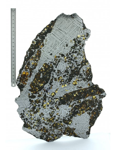 Seymchan Pallasite Slice 961 g – Widmanstätten Pattern & Olivine Meteo