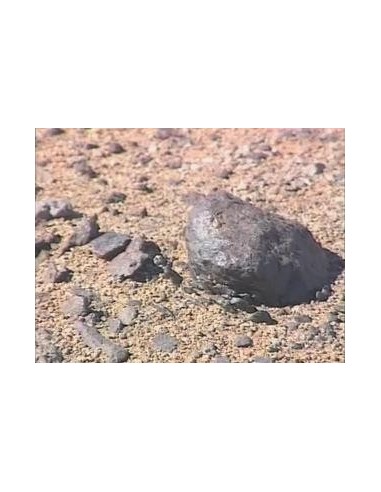 Vaca Muerta Meteorite / 494.6g