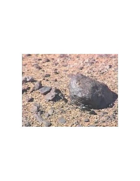 Vaca Muerta Meteorite / 494.6g