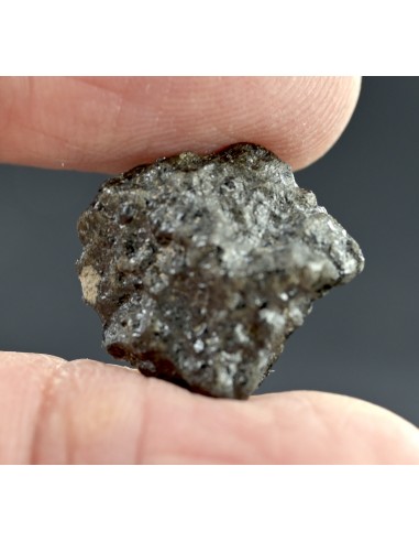 Tissint 2.842 g Martian Meteorite – Shergottite from a Witnessed Fall