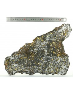 Seymchan Pallasite Slice 930 g with Olivines & Widmanstätten Pattern