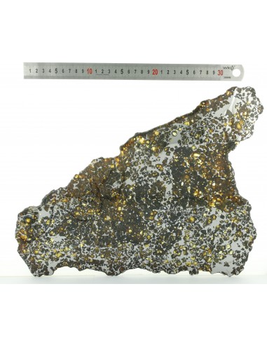 Seymchan Pallasite Slice 930 g with Olivines & Widmanstätten Pattern