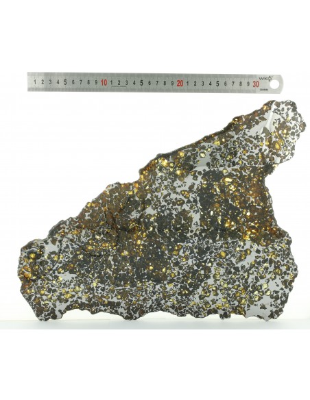 Seymchan Pallasite Slice 930 g with Olivines & Widmanstätten Pattern