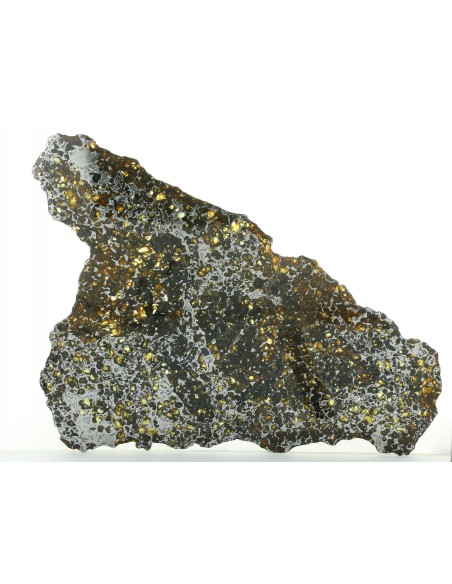 Seymchan Pallasite Slice 930 g with Olivines & Widmanstätten Pattern