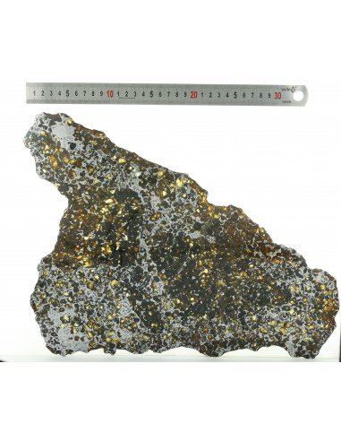 Seymchan Pallasite Slice 930 g with Olivines & Widmanstätten Pattern