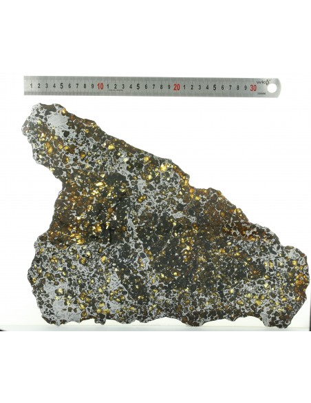 Seymchan Pallasite Slice 930 g with Olivines & Widmanstätten Pattern