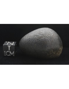 NWA 10170 Martian Meteorite 45 g – with ISS & Perseverance Connection