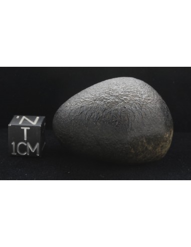 NWA 10170 Martian Meteorite 45 g – with ISS & Perseverance Connection