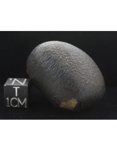 NWA 10170 Martian Meteorite 45 g – with ISS & Perseverance Connection