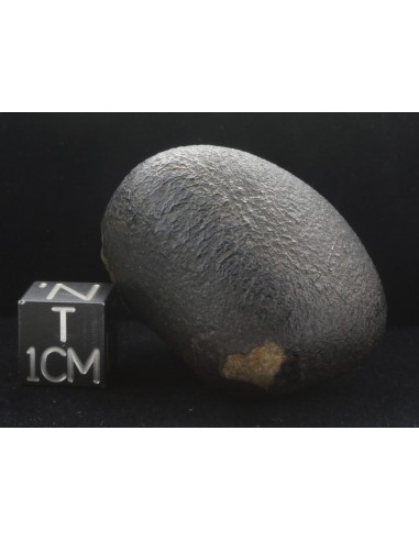 NWA 10170 Martian Meteorite 45 g – with ISS & Perseverance Connection