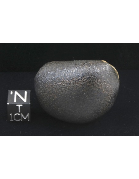 NWA 10170 Martian Meteorite 45 g – with ISS & Perseverance Connection