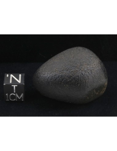 NWA 10170 Martian Meteorite 45 g – with ISS & Perseverance Connection