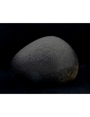 NWA 10170 Martian Meteorite 45 g – with ISS & Perseverance Connection