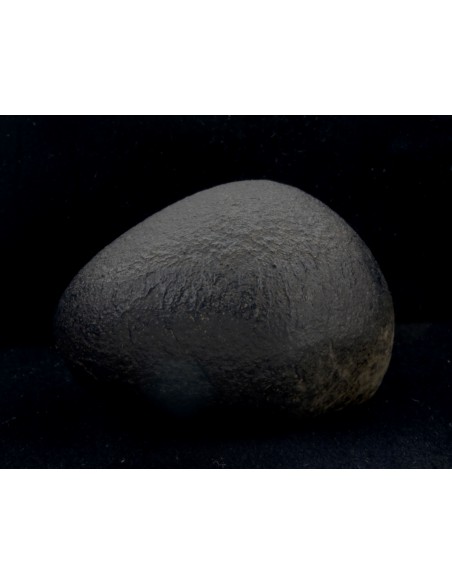 NWA 10170 Martian Meteorite 45 g – with ISS & Perseverance Connection