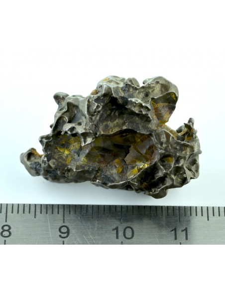 Golden Pallasite 16.67 g – Small Sculptural Meteorite with Olivine Cav