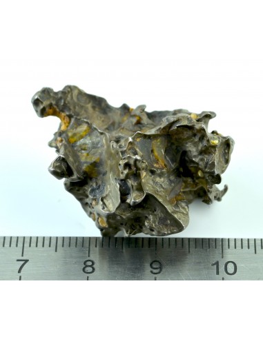 Golden Pallasite 16.67 g – Small Sculptural Meteorite with Olivine Cav