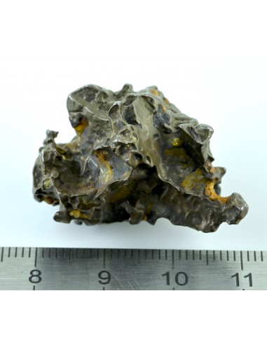 Golden Pallasite 16.67 g – Small Sculptural Meteorite with Olivine Cav